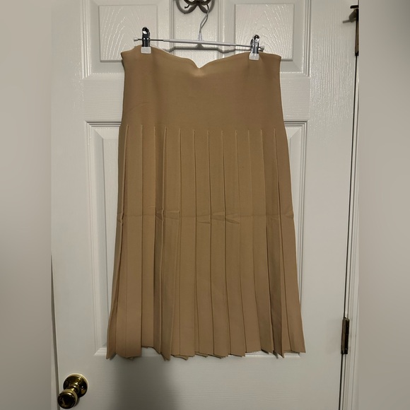 Aleeza Paris Dresses & Skirts - NWT Aleeza Paris Wonder Skirt